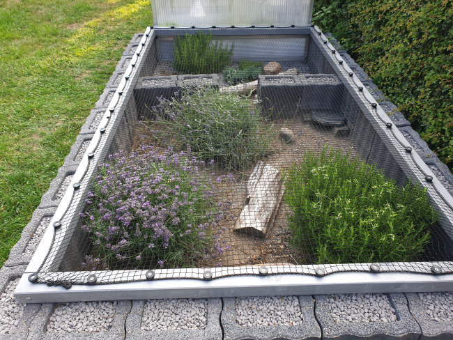 Kundenfoto von Geflügelnetz mit Abschlusskante bestellen 
