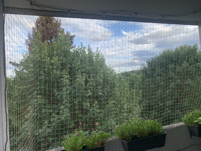 Kundenfoto von Taubenschutznetz per m² (nach Maß) 