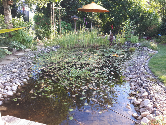 Kundenfoto von Heron Protection Net by the m² (Custom-Made), black 