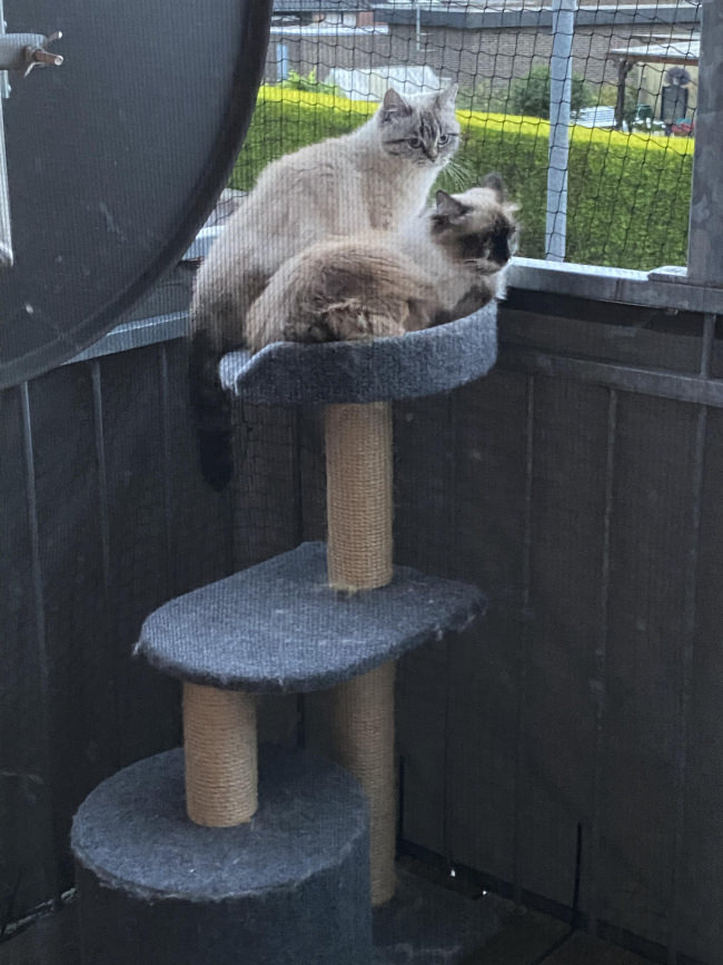 Kundenfoto von Cable Strap 7.8 x 300 mm 