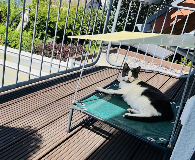 Kundenfoto von PVC-Coated Webbing, Custom-Made, Green 