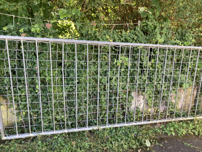 Kundenfoto von Netz nach Maß (4,0/100 mm) 