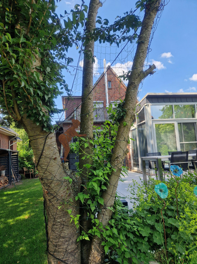 Kundenfoto von Climbing Plant Net by the m² (Trellis Netting), Black 