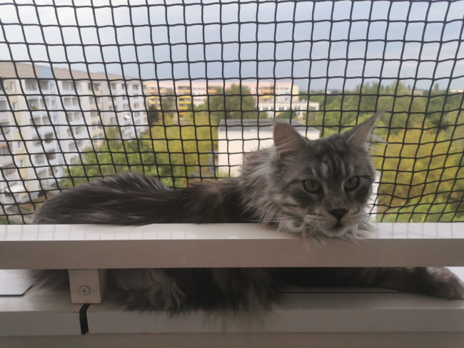 Kundenfoto von Extra Strong Cat Safety Net, Custom-Made 