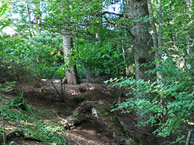 Kundenfoto von Reiher-Schutznetz per m² (nach Maß), schwarz 