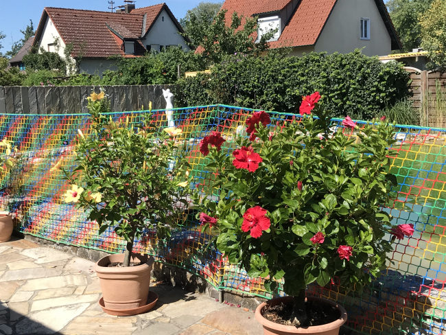 Kundenfoto von Childrens Safety Net by the m² (Made to Measure) 