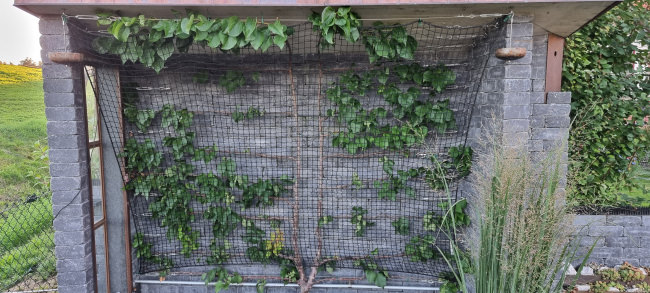 Kundenfoto von Sicherheitsnetz per m² (nach Maß) 1,8/30 mm 