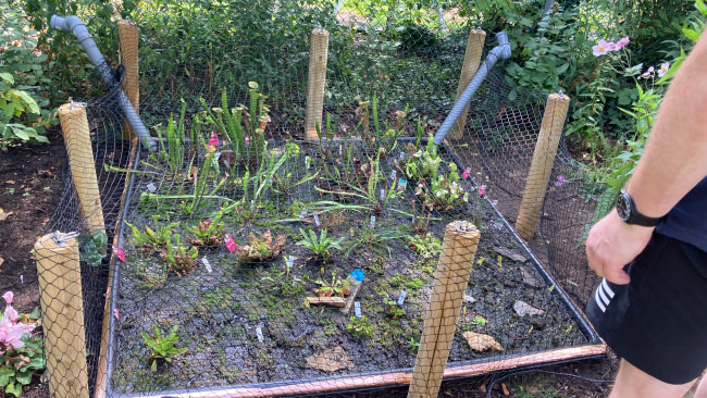 Kundenfoto von Bird Protection Net with Border, by the m² (Custom-Made) 