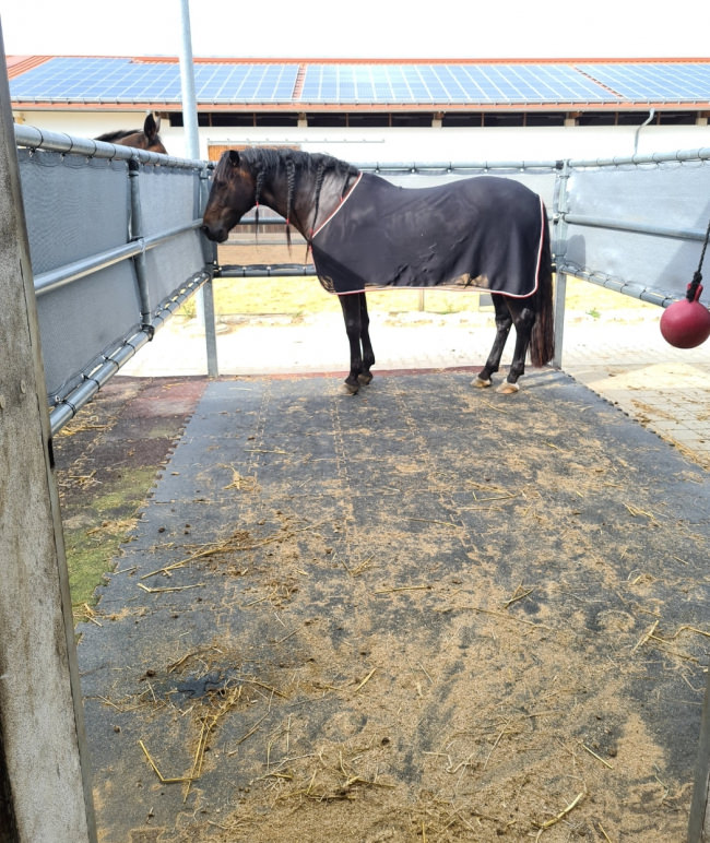 Kundenfoto von Air-Permeable Fabric by the m² (Custom-Made) 