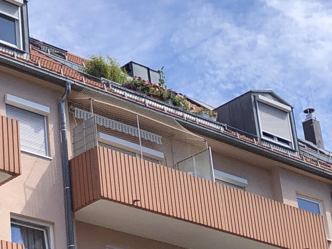 Kundenfoto von Taubenschutznetz per m² (nach Maß) 