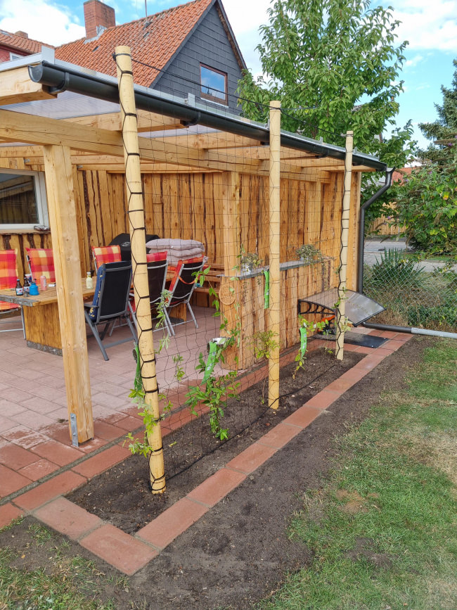 Kundenfoto von Climbing Plant Net by the m² (Trellis Netting), Black 