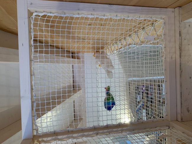 Kundenfoto von Netz per Quadratmeter (nach Maß) 2,3/30 mm 