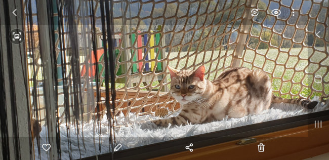 Kundenfoto von Balcony Safety Net for Children (Custom-Made) 