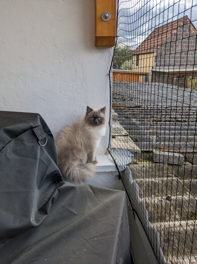 Kundenfoto von Extra Strong Cat Safety Net, Custom-Made 