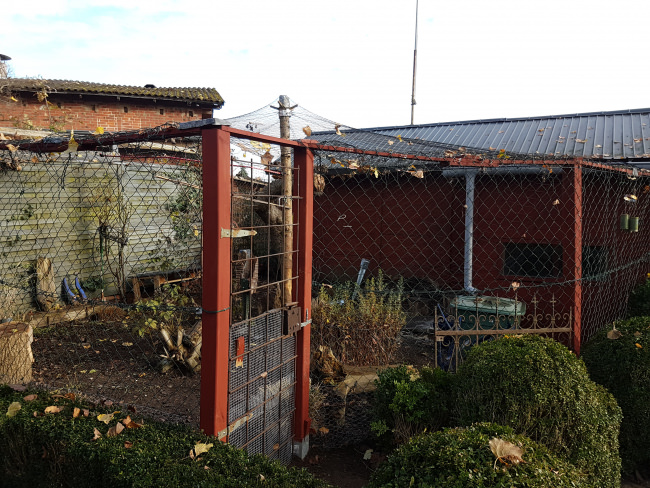 Kundenfoto von Poultry Net by the m² (Made to Measure), Black 