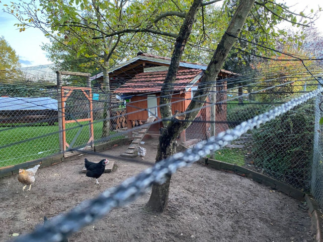 Kundenfoto von Heron Protection Net by the m² (Custom-Made), black 