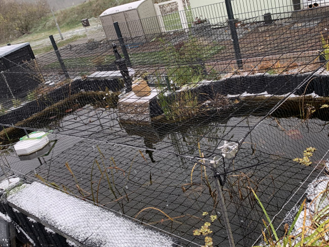 Kundenfoto von Schutznetz per m² (nach Maß) 3,0/120 mm 