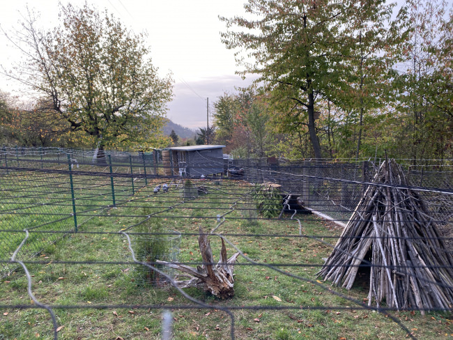 Kundenfoto von Reiher-Schutznetz per m² (nach Maß), schwarz 