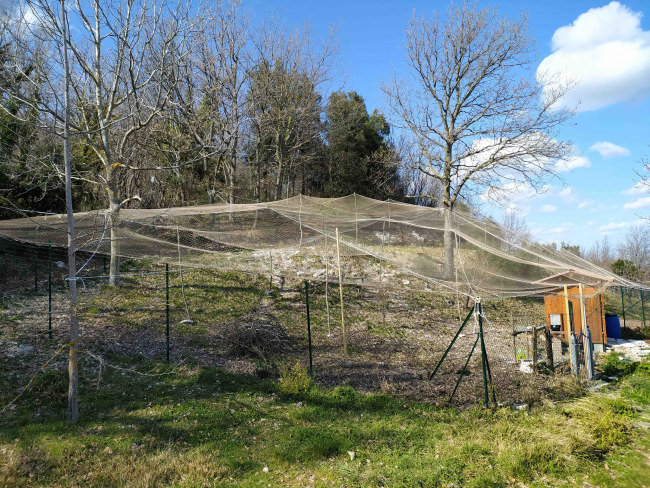 Kundenfoto von Taubenschutznetz per m² (nach Maß) 