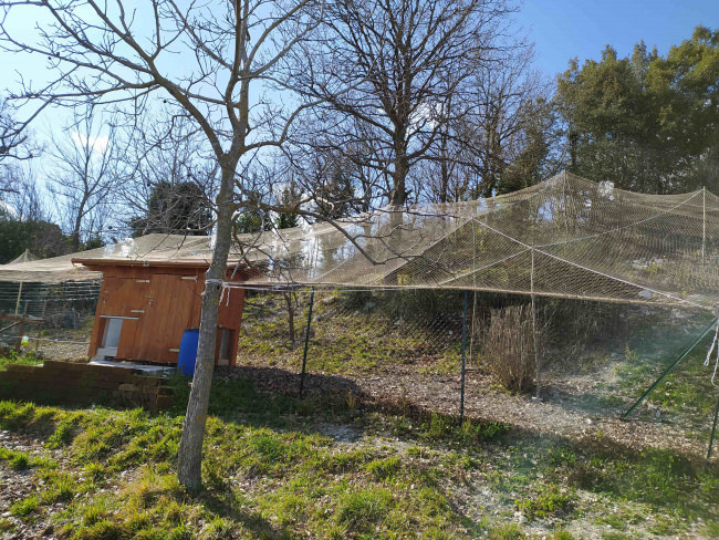 Kundenfoto von Taubenschutznetz per m² (nach Maß) 