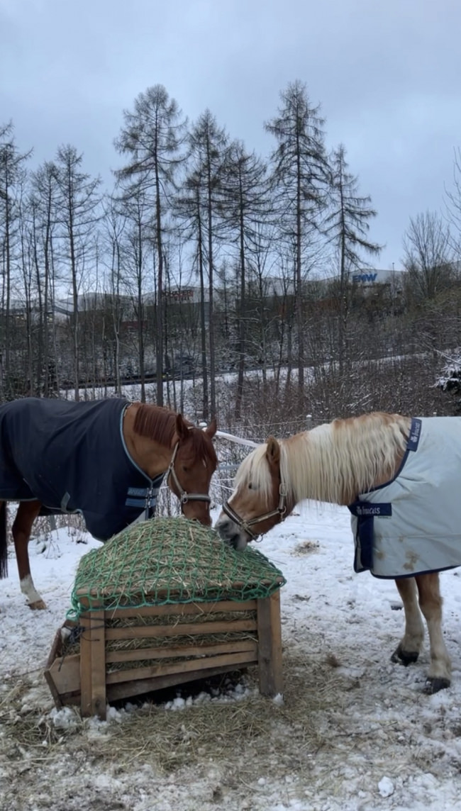 Kundenfoto von Hay Net by the m² (Custom-Made) 