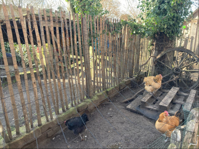 Kundenfoto von Reiher-Schutznetz per m² (nach Maß), schwarz 