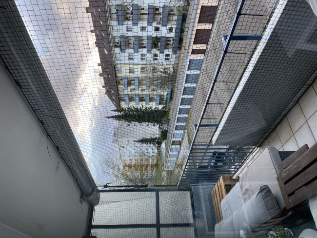 Kundenfoto von Cat Safety Net by the m² (Custom-Made) 