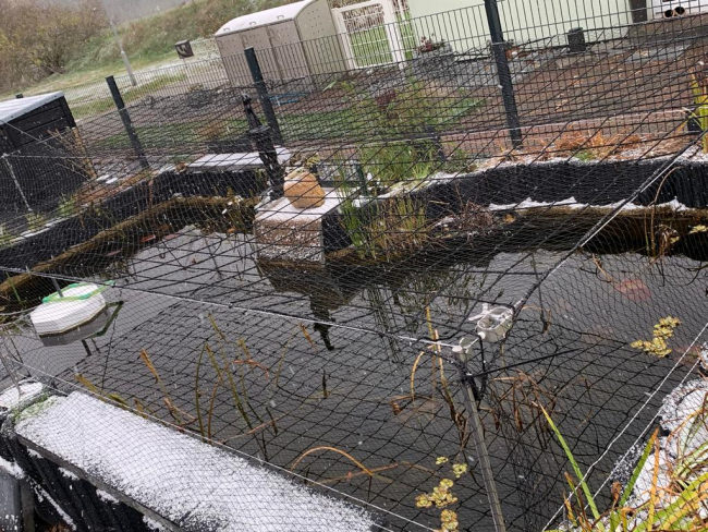 Kundenfoto von Sicherheitsnetz per m² (nach Maß) 1,5/100 mm 