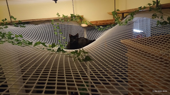 Kundenfoto von Netz per Quadratmeter (nach Maß) 2,3/30 mm 