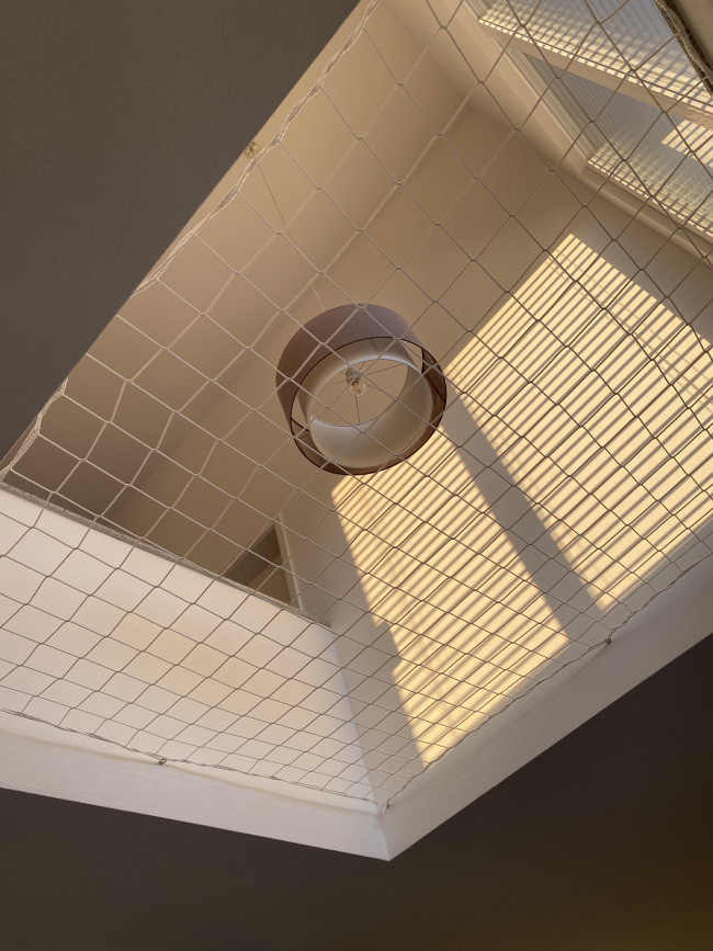 Kundenfoto von Schutznetz per m² (nach Maß) 4,0/130 mm, weiß 