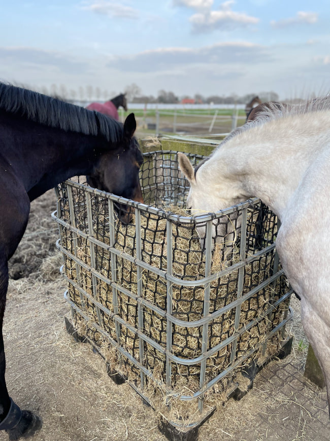 Kundenfoto von Hay Net by the m² (Custom-Made) 