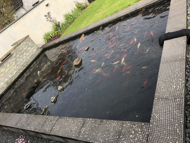 Kundenfoto von Schutznetz nach Maß (per m²) 1,0/20 mm 