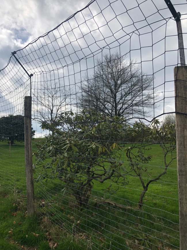 Kundenfoto von Schutznetz per m² (nach Maß) 1,5/50 mm 