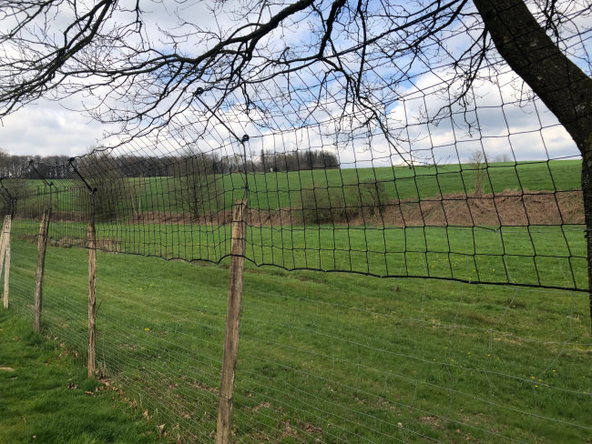 Kundenfoto von Schutznetz per m² (nach Maß) 1,5/50 mm 