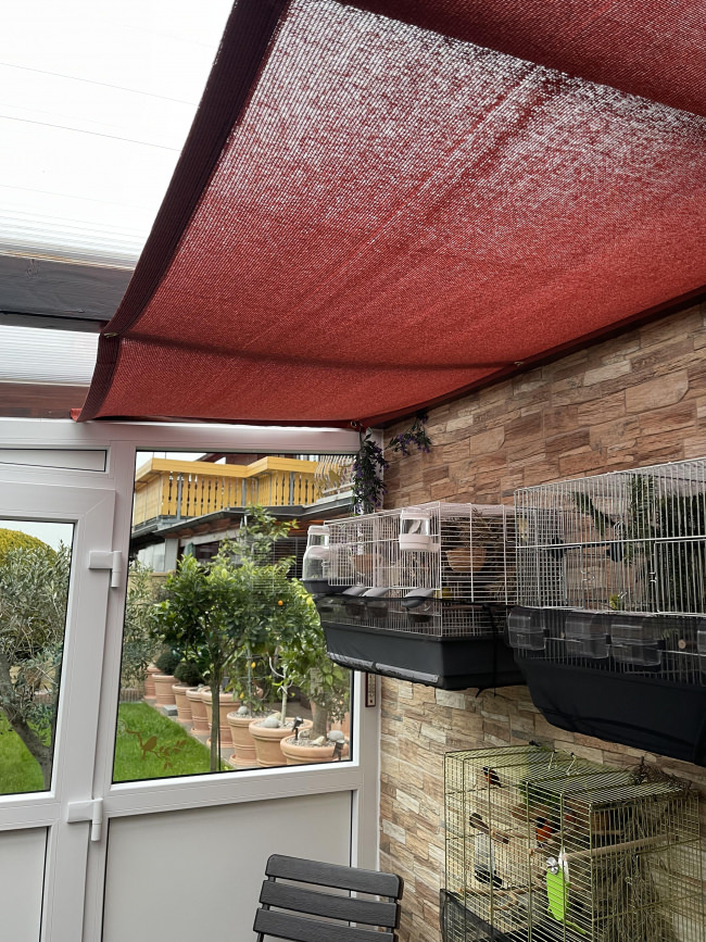 Kundenfoto von Privacy Netting - 50% - by the m² (Custom-Made) 