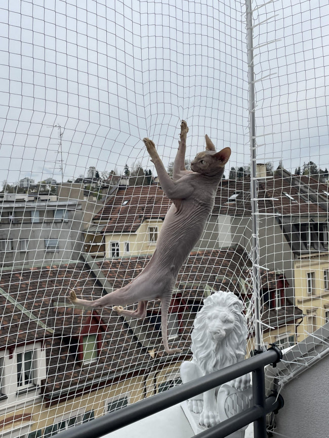 Kundenfoto von Cat Net by the m² (Made to Measure) 