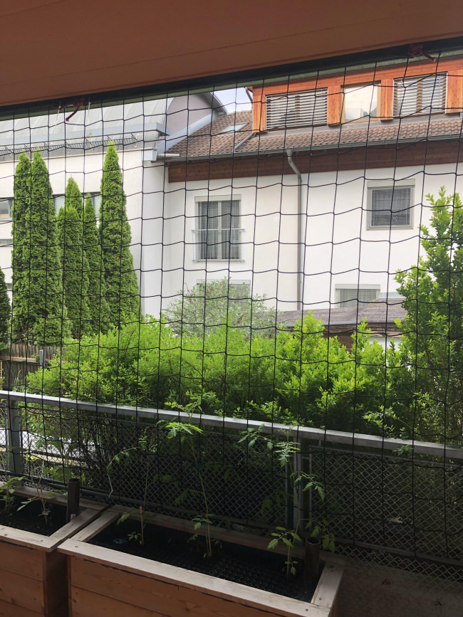 Kundenfoto von Schutznetz per m² (nach Maß) 3,0/120 mm 