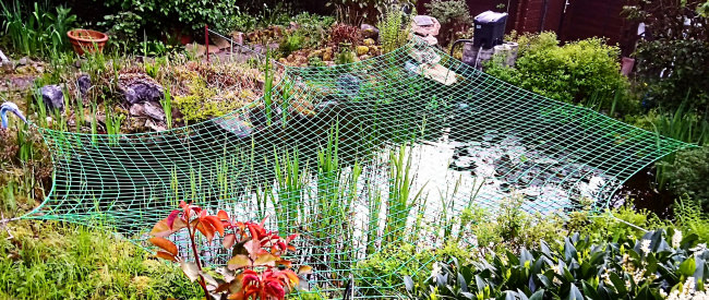 Kundenfoto von Container Covering Net 3.5 x 5m, Green or Blue 