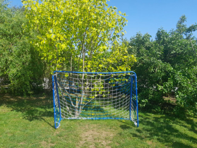 Kundenfoto von Fußballtornetz in Vereinsfarben nach Maß 
