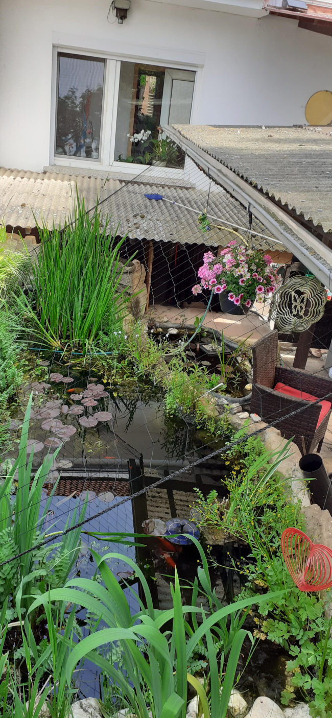 Kundenfoto von Aviary Net by the m² (Custom-Made), black 