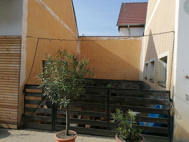 Kundenfoto von Greifvogel-Schutznetz für Hühnergehege nach Maß 