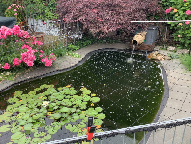 Kundenfoto von Heron Guard Net by the m² (Custom-Made), black 