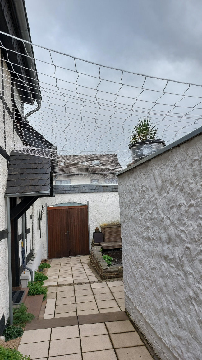 Kundenfoto von Netz per Quadratmeter (nach Maß) 