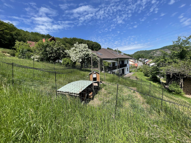 Kundenfoto von Poultry Net by the m² (Made to Measure), Black 