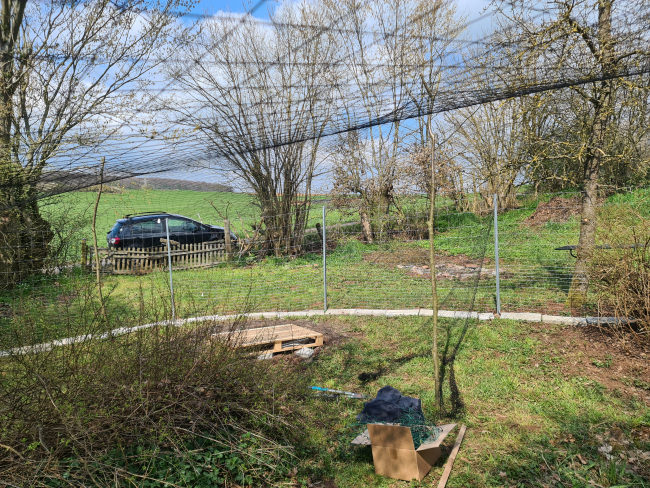 Kundenfoto von Heron Guard Net by the m² (Custom-Made), black 