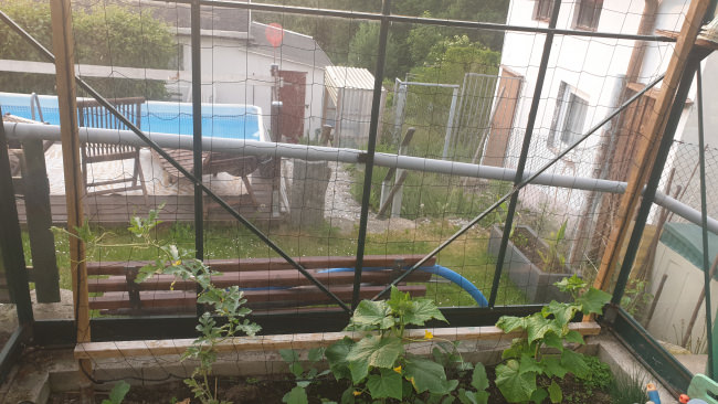 Kundenfoto von Climbing Plant Net by the m² (Trellis Netting), Black 