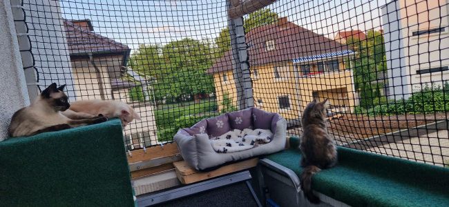 Kundenfoto von Extra Strong Cat Safety Net, Custom-Made 