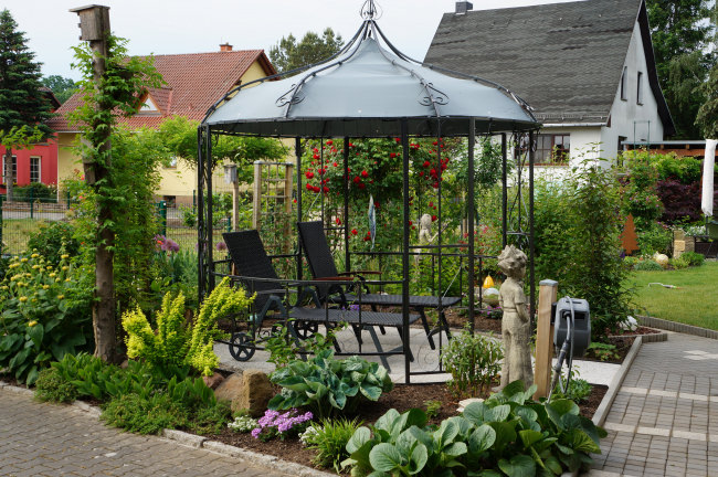 Kundenfoto von Climbing Plant Net by the m² (Trellis Netting), Black 