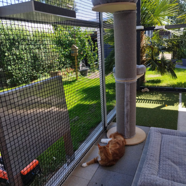 Kundenfoto von Extra Strong Cat Safety Net, Custom-Made 