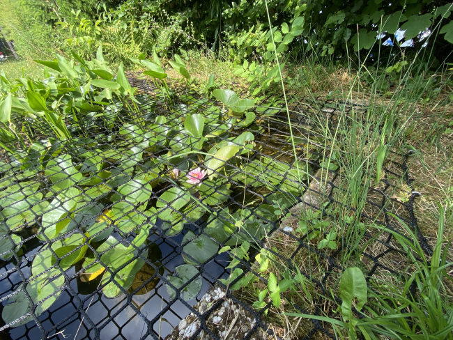 Kundenfoto von Pond Cover Net (Fall Safety Net), Made to Measure 